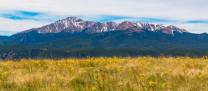 Thank You - Mountains and wildflowers photo Colorado Family Orthopaedics Dr. Garramone